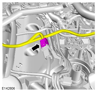 E142806