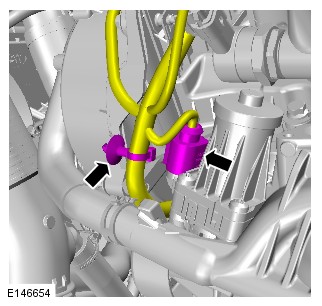 E146654