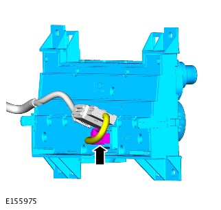 E155975
