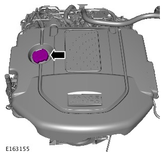 E163155