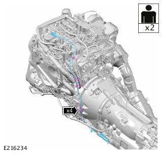 E216234