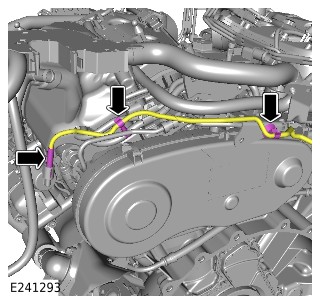 E241293