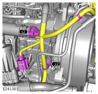 E241303