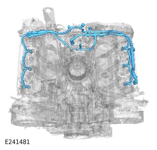 E241481