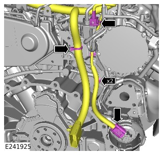 E241925