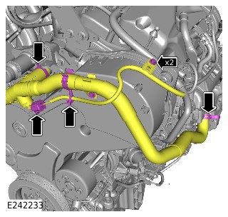 E242233