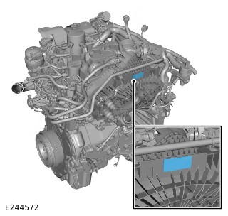 E244572