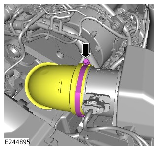 E244895