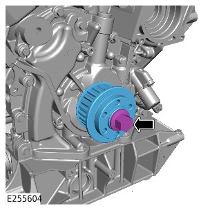 E255604