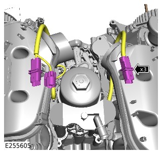 E255605